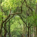 杨家牌楼 - 杭州市旅游 缩略图 8