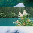 九寨沟景区 - 阿坝藏族羌族自治州旅游 缩略图 9