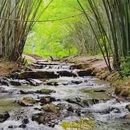 野溪谷露营地 - 广州市旅游 缩略图 4