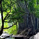 野溪谷露营地 - 广州市旅游 缩略图 3