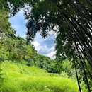 野溪谷露营地 - 广州市旅游 缩略图 5