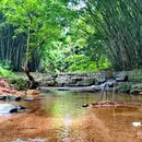 野溪谷露营地 - 广州市旅游 缩略图 7