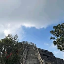 银瓶山森林公园 - 东莞市旅游 缩略图 4
