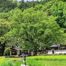 庆源古村 - 上饶市旅游 缩略图 2