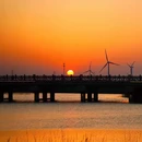 黄金海滩风景区 - 南通市旅游 缩略图 5
