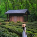 古鸡鸣寺 - 南京市旅游 缩略图 8