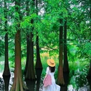 古鸡鸣寺 - 南京市旅游 缩略图 6