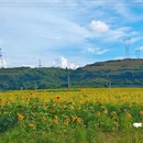 安顺 - 马来西亚旅游 缩略图 2
