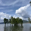 大理洱海 - 大理白族自治州旅游 缩略图 1