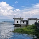 大理洱海 - 大理白族自治州旅游 缩略图 7