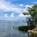 大理洱海 - 大理白族自治州旅游 缩略图 6