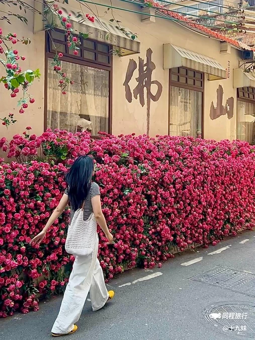 南风古灶 - 佛山市旅游
