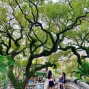 中山公园 - 佛山市旅游 缩略图 8