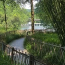 浴鹄湾 - 杭州旅游 缩略图 5
