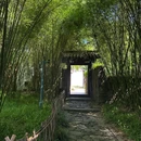 浴鹄湾 - 杭州旅游 缩略图 3