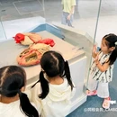 爱华酒店(海南琼海市中心高铁站万泉河店) - 琼海市旅游 缩略图 8