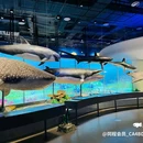爱华酒店(海南琼海市中心高铁站万泉河店) - 琼海市旅游 缩略图 7