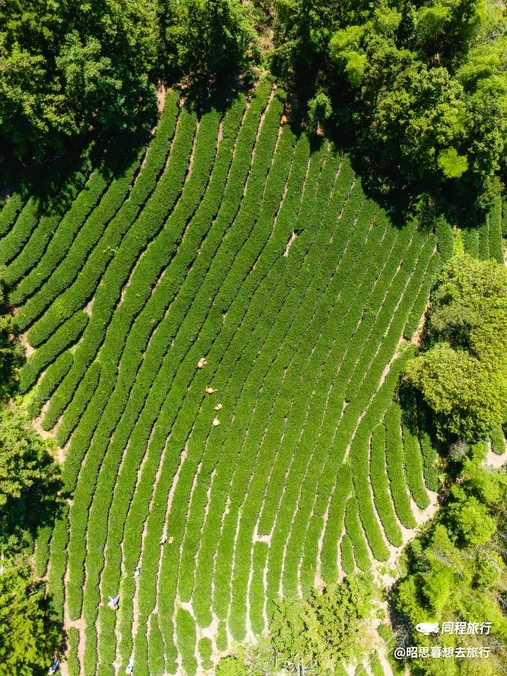 中国武夷山风景名胜区 - 南平市旅游