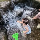 中国茶叶博物馆(双峰馆区) - 杭州市旅游 缩略图 7
