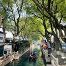 同里古镇风景区 - 苏州市旅游 缩略图 1