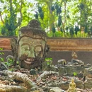 泰国清迈府清迈府直辖县 - 其他旅游 缩略图 3