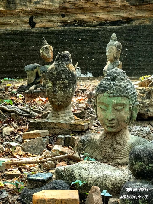 泰国清迈府清迈府直辖县 - 其他旅游