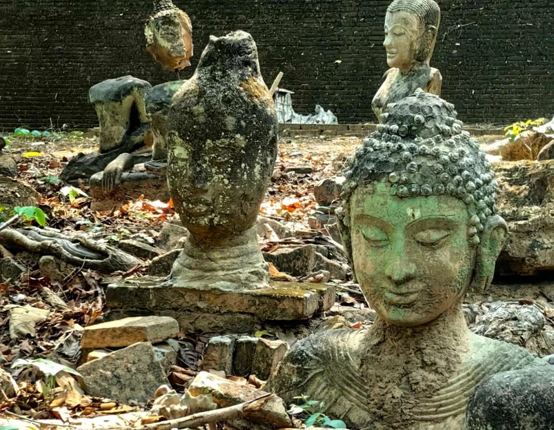 泰国清迈府清迈府直辖县 - 其他旅游 1