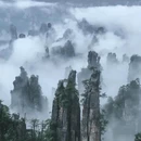 张家界国家森林公园 - 张家界市旅游 缩略图 4