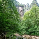 张家界国家森林公园 - 张家界市旅游 缩略图 3