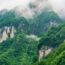 张家界国家森林公园 - 张家界市旅游 缩略图 6