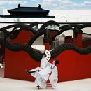 只有红楼梦戏剧幻城 - 廊坊市旅游 缩略图 6