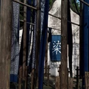 乌镇西栅景区 - 嘉兴旅游 缩略图 3