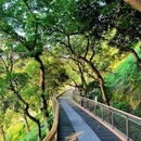 格美Chongqing Memory|自然美学·独栋庭院设计师酒店(重庆解放碑步行街洪崖洞店) - 重庆市旅游 缩略图 3