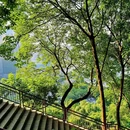 格美Chongqing Memory|自然美学·独栋庭院设计师酒店(重庆解放碑步行街洪崖洞店) - 重庆市旅游 缩略图 8