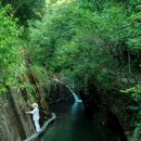 婺源石门峡山野秘境 - 上饶市旅游 缩略图 4