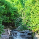 婺源石门峡山野秘境 - 上饶市旅游 缩略图 3