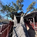 山西博物院 - 太原市旅游 缩略图 3