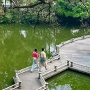 中山公园 - 佛山市旅游 缩略图 4