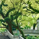 中山公园 - 佛山市旅游 缩略图 1