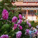 景德镇陶溪川景见礼酒店 - 景德镇市旅游 缩略图 8