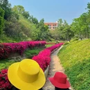 广东树木公园 - 广州市旅游 缩略图 4