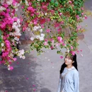 紫泥堂 - 广州市旅游 缩略图 1