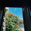 漓江书院(三街两巷店) - 南宁市旅游 缩略图 3