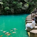 大奇山国家森林公园 - 杭州市旅游 缩略图 1