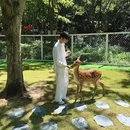 大奇山国家森林公园 - 杭州市旅游 缩略图 9