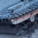 义合村民委员会 - 长治旅游 缩略图 8