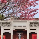 盐官潮乐之城国际旅游度假区 - 嘉兴市旅游 缩略图 4