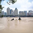 江心屿景区 - 温州市旅游 缩略图 3