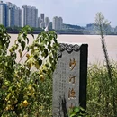 江心屿景区 - 温州市旅游 缩略图 5
