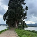 东风坝七孔浮桥 - 昆明市旅游 缩略图 9